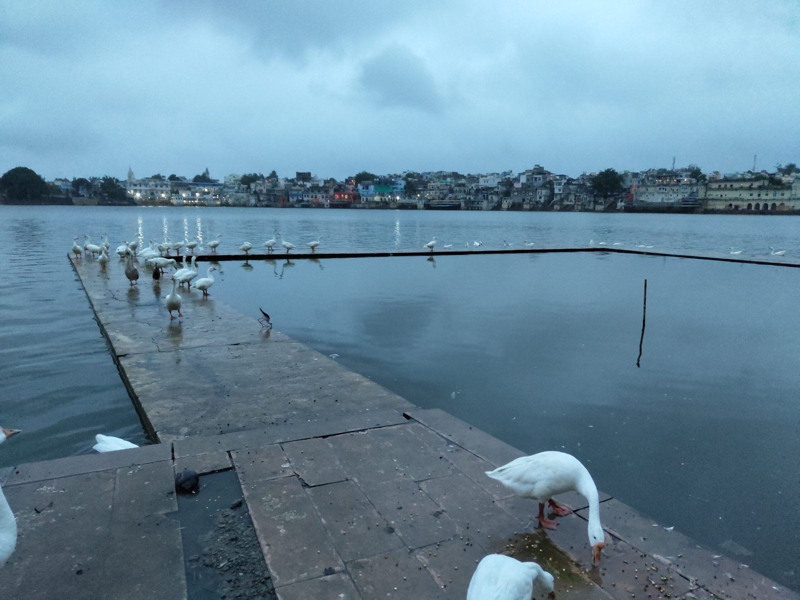 pushkar lake