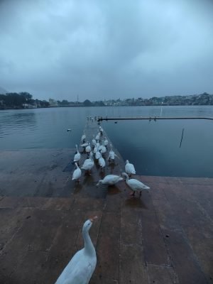 Pushkar Lake Location Pushkar Lake Location